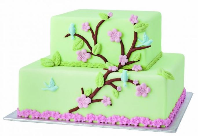 قالب سلیکونی 3 .JPG